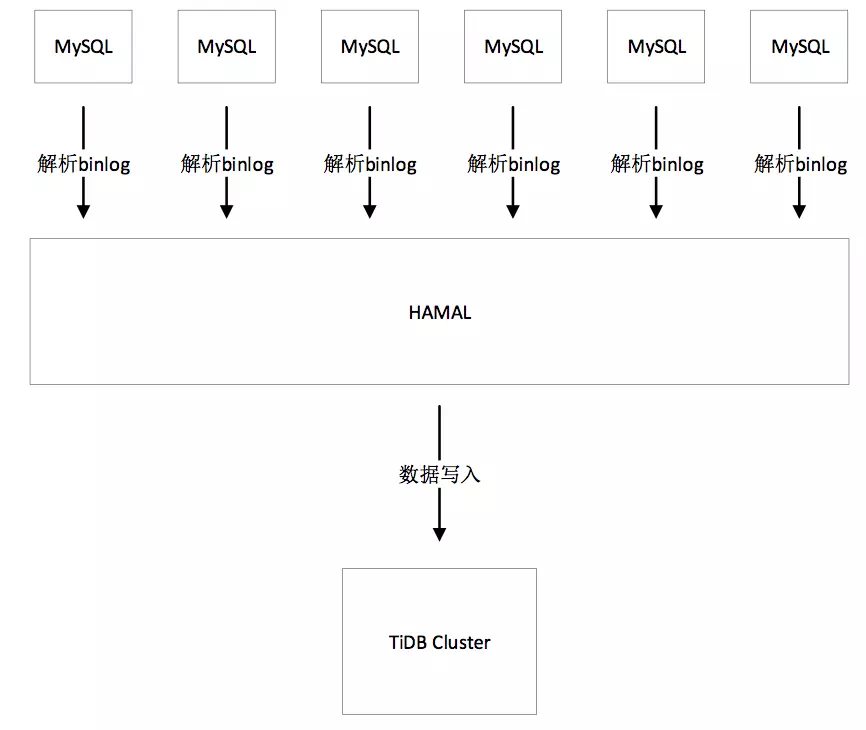 1-structure